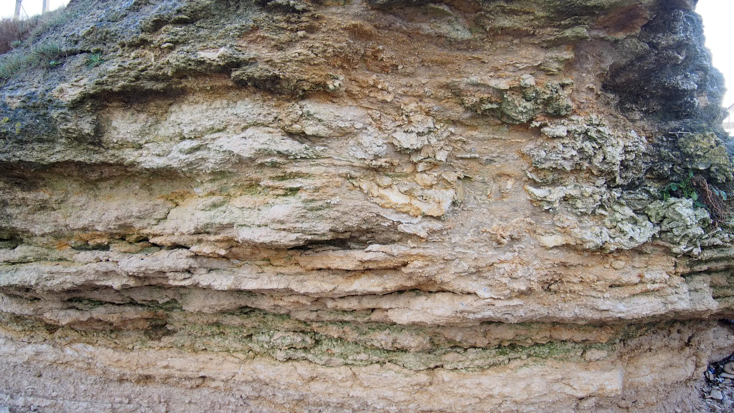 Du fossile à l'actuel au Cap Romain