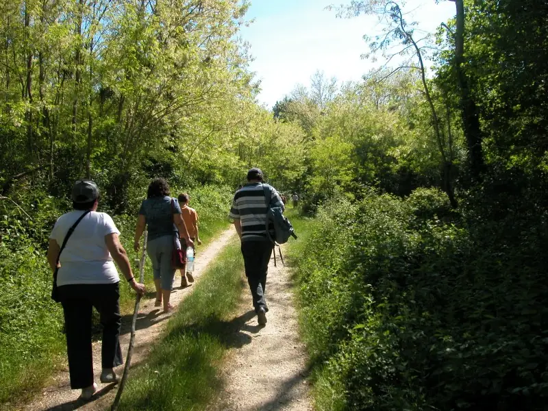 Voyage dans le passé