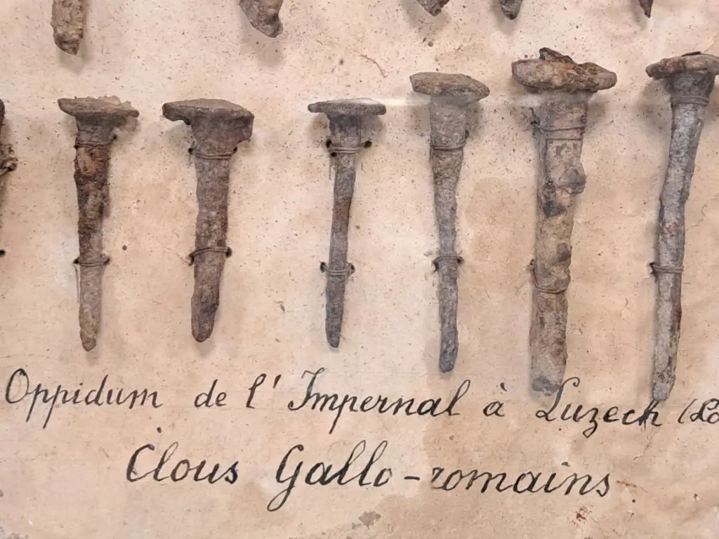 Musée Municipal Armand Viré - Espace Ammonites / Espace Archéologique