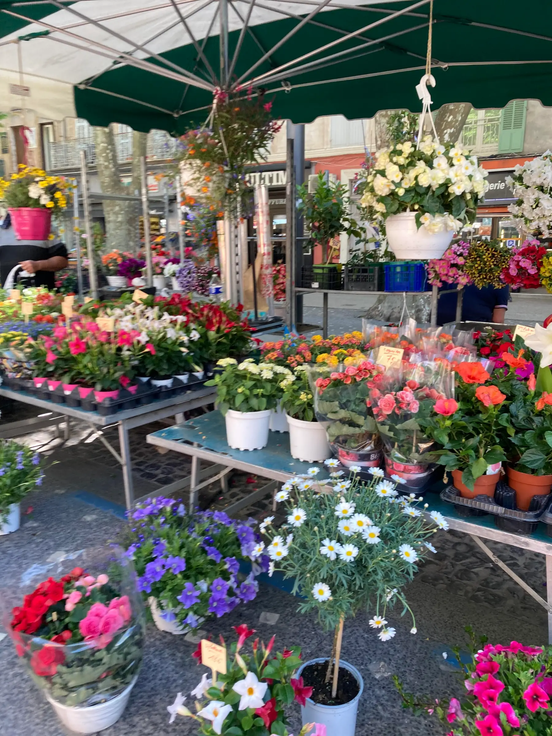Marché de Gardanne