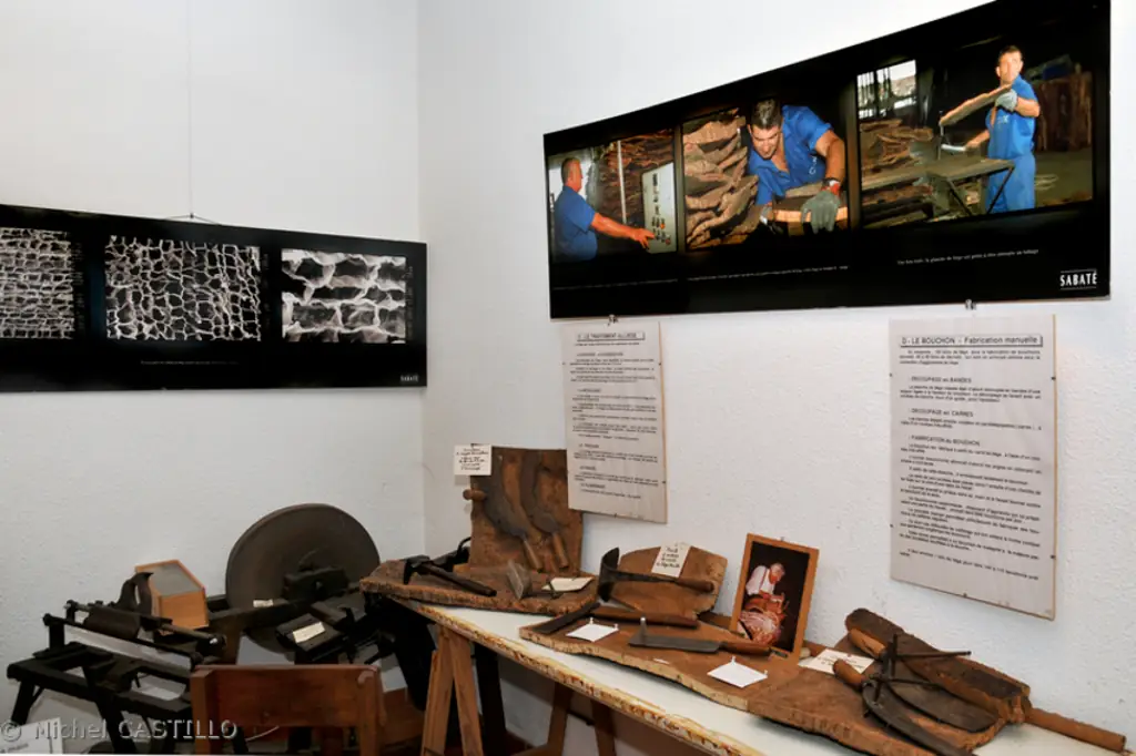 MUSEE DU LIEGE