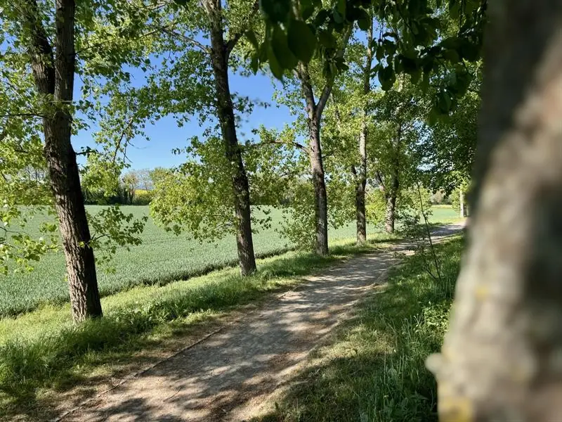 Sortie nature sur le sentier botanique