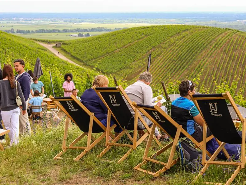 ALSACE ROCKS ! La Tournée des Terroirs - Etape #8