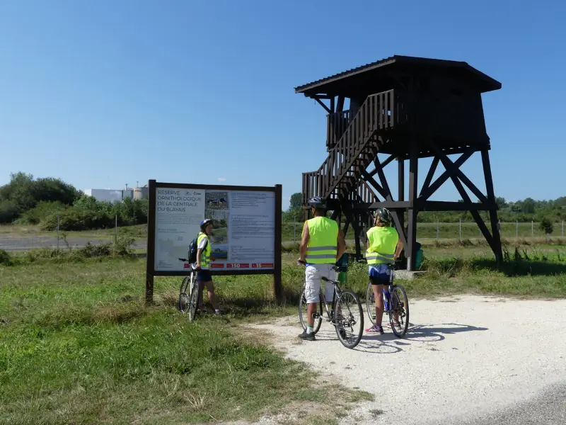 Vendredi vélo à Terres d'Oiseaux