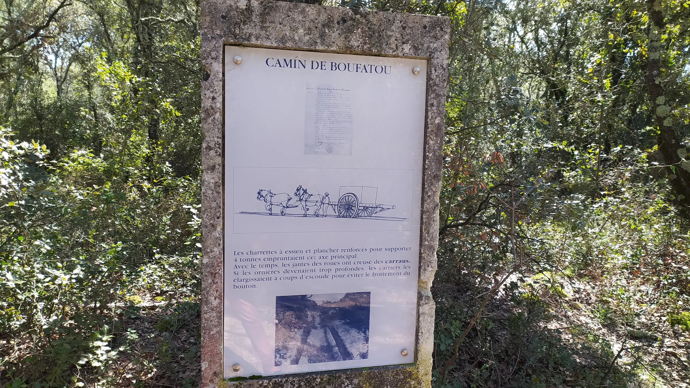 ANCIENNES CARRIÈRES DE BEAULIEU ET DE SUSSARGUES