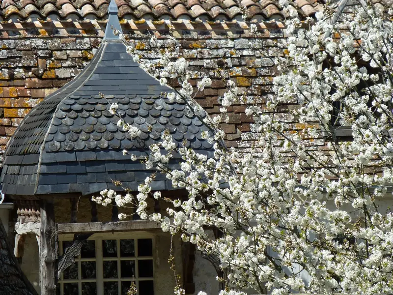 Balade patrimoine d'Issigeac