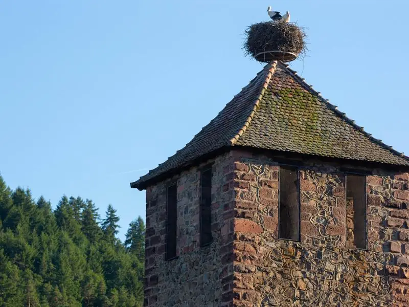 Tour d'enceinte dite Kesslerturm