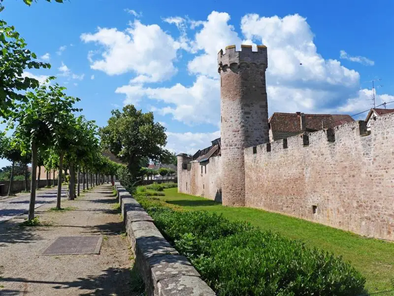 Obernai