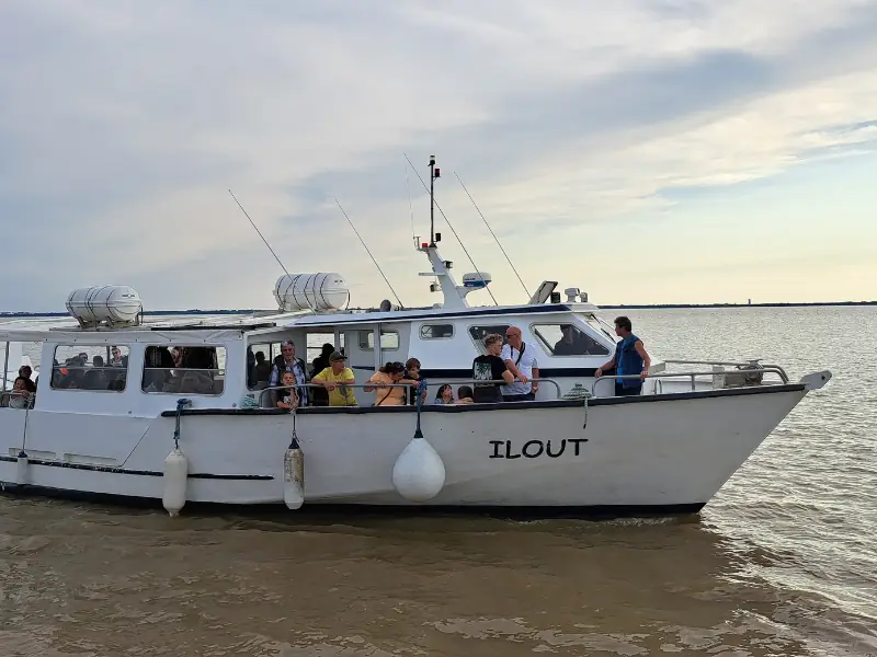 Croisière du dimanche sur l'estuaire à Terres d'Oiseaux