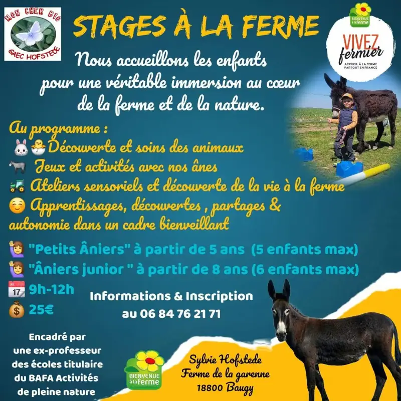 Activités estivales à la ferme 2026