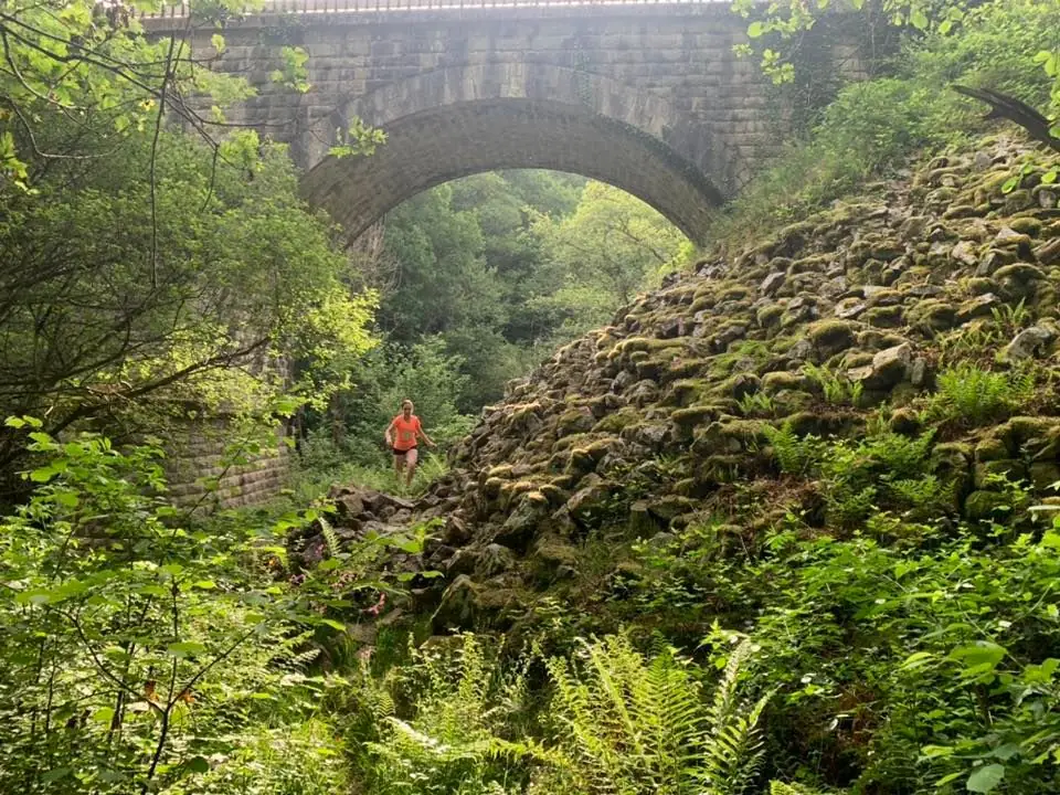 Alefpa Trail