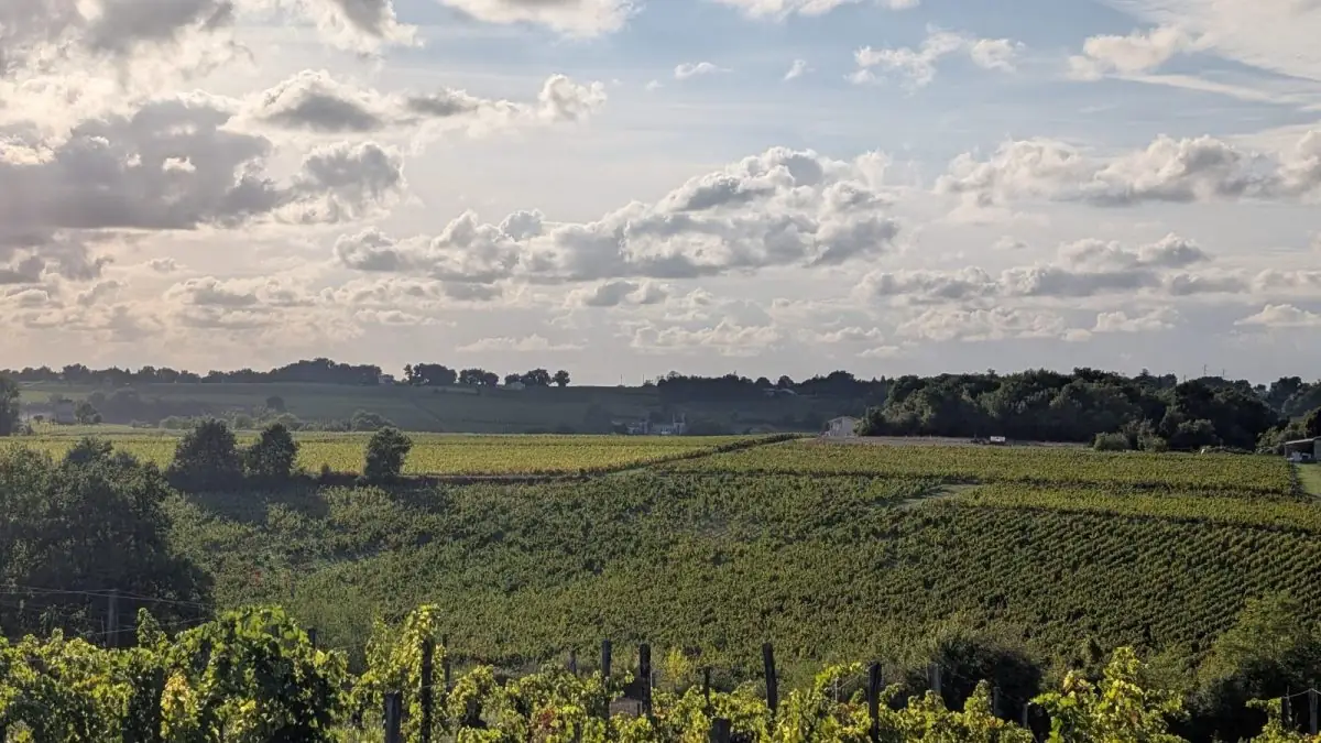 Château Mazeris - "Un dimanche au Château en Fronsadais-Libournais"