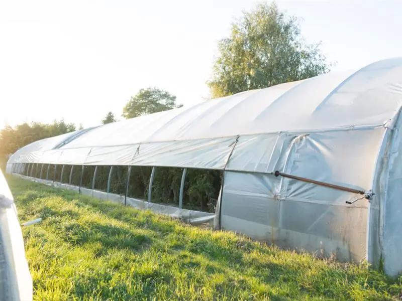 Les Saveurs de Kienheim : une déclinaison de fruits et légumes de saison