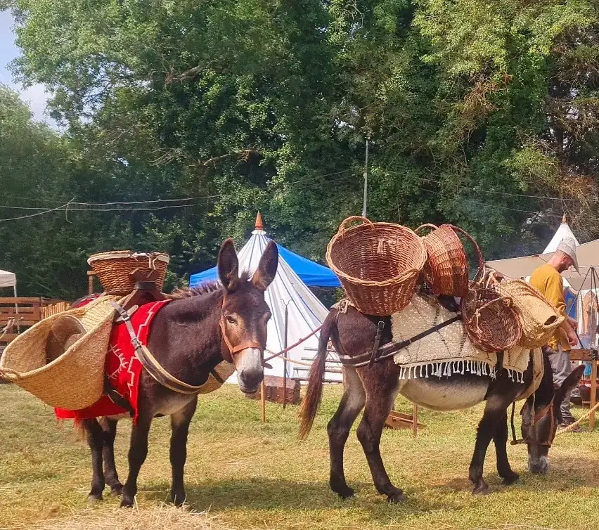 Les Médiévales de Lesparre-Médoc 2026