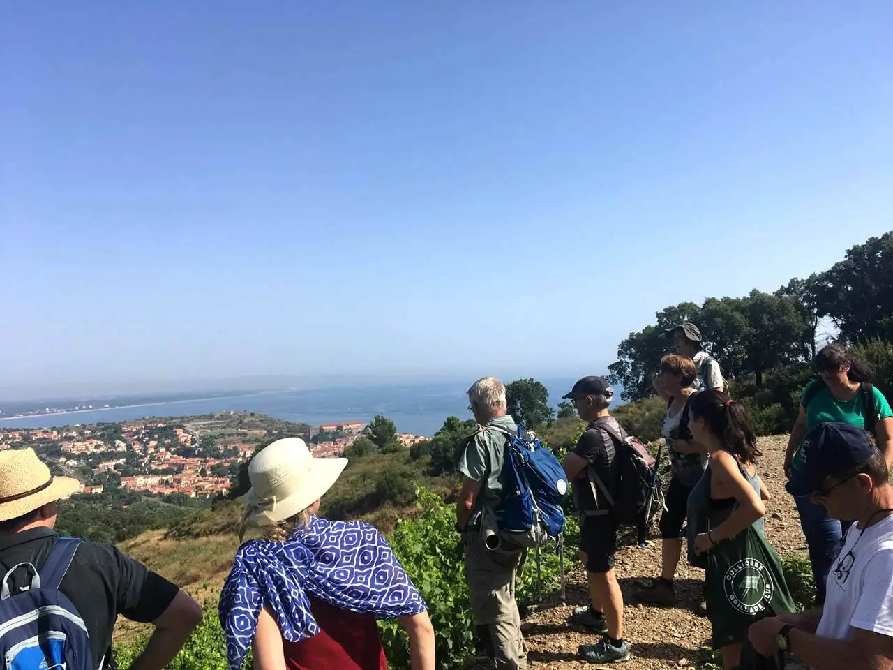 BALADE VINOHRANDO DANS LES VIGNES - OENOTOURISME !