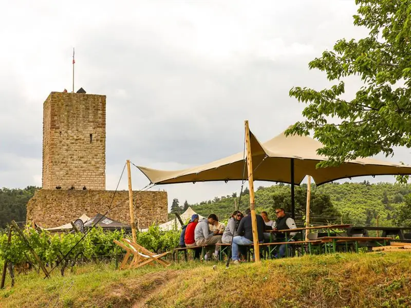 ALSACE ROCKS ! La Tournée des Terroirs - Etape #8