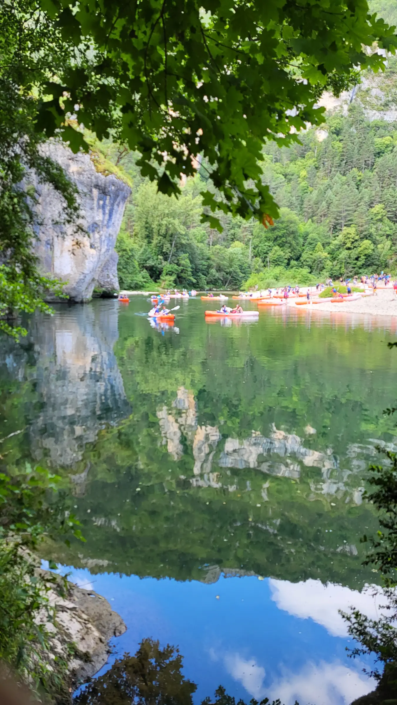 LA SOURCE DU MOULIN DE CENARET