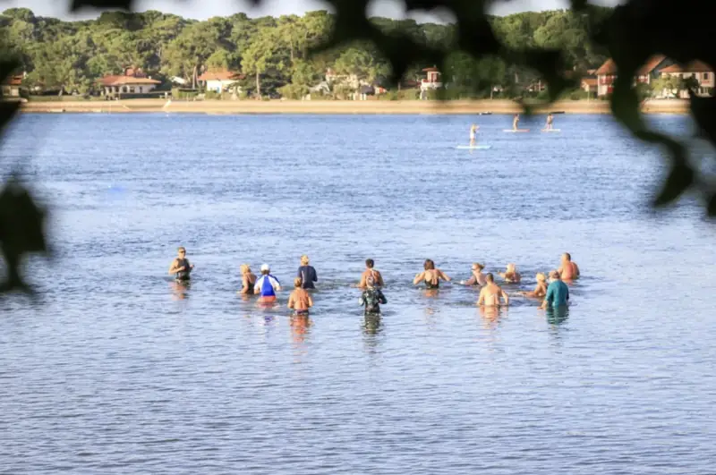 Marche aquatique au Lac