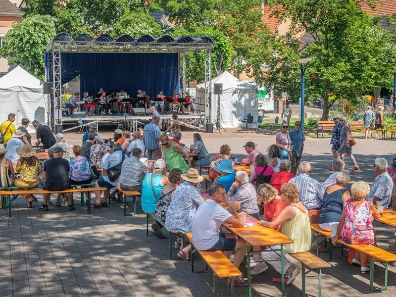 Grand festival de l'artisanat