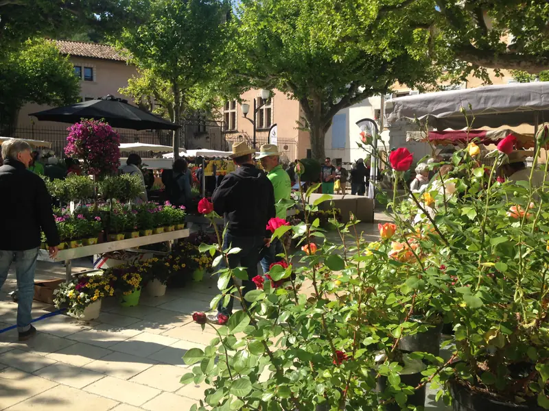Place Baragnon