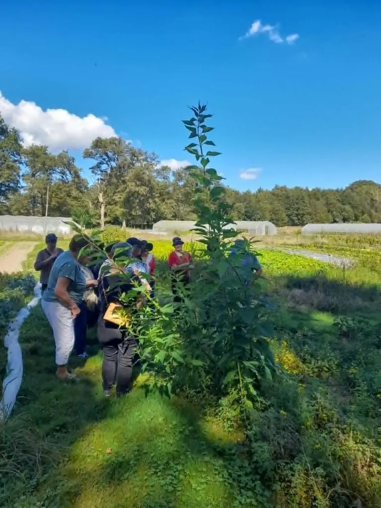 Atelier : Réaliser ses boutures de vivaces et petits fruits