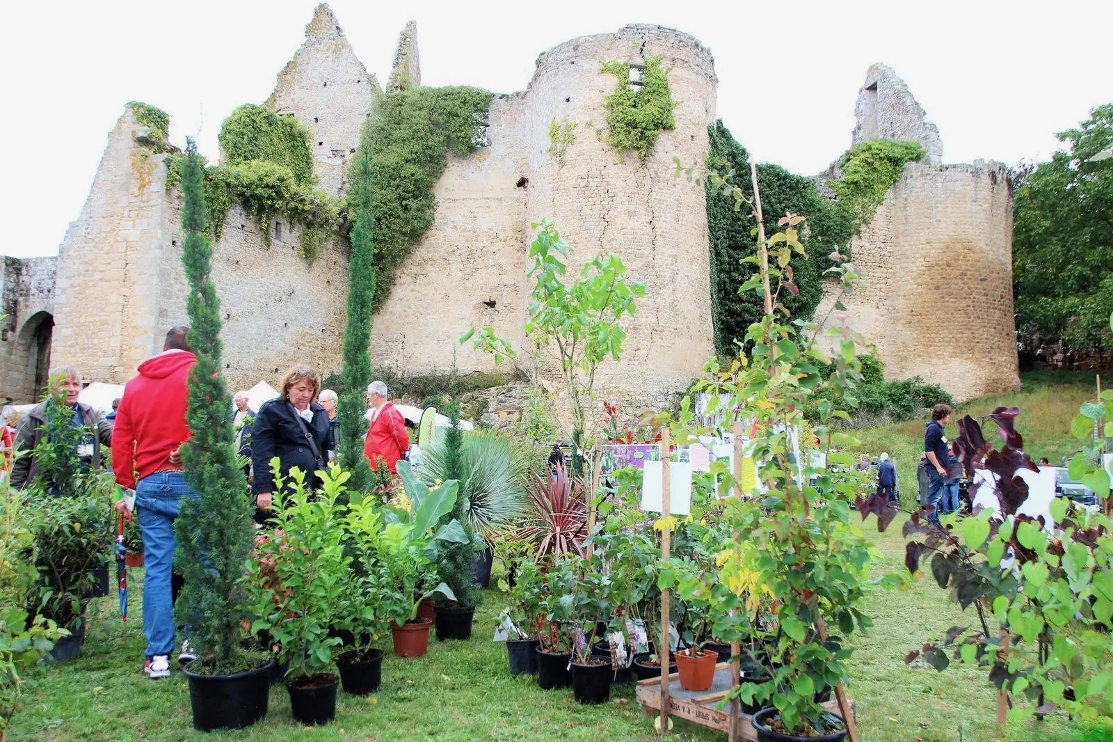 Fête des plantes