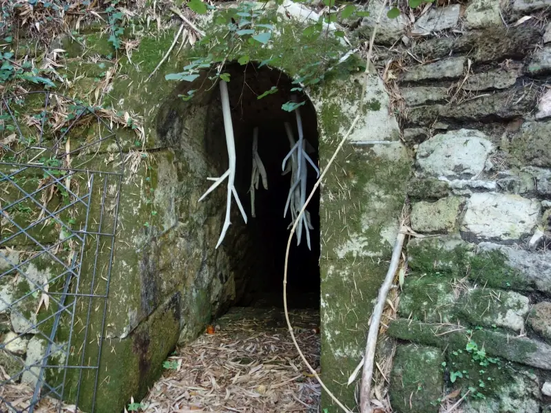 Visite des souterrains du château perdu