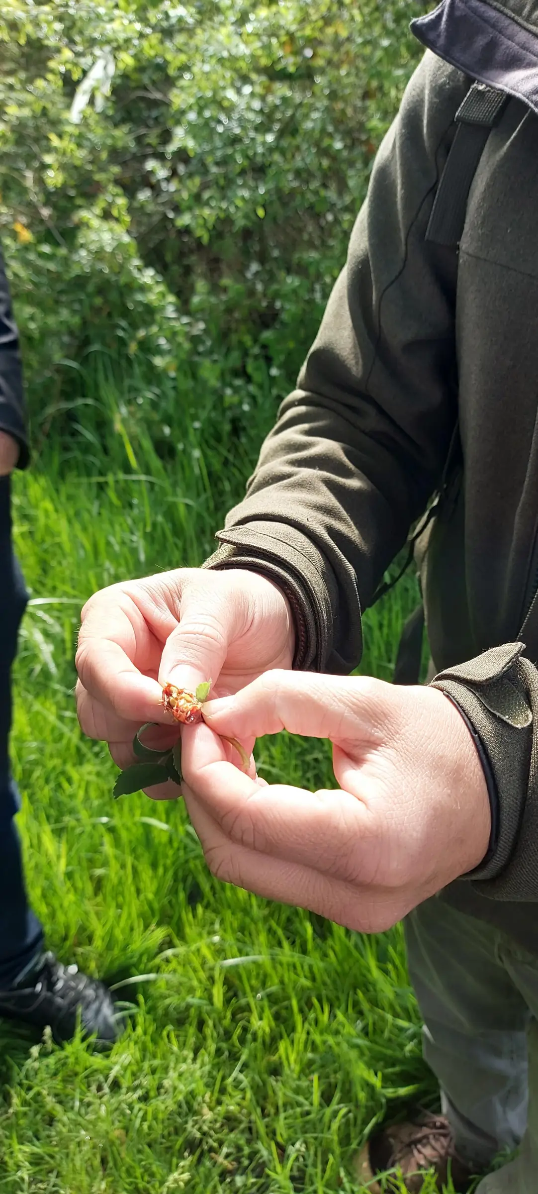 Visite nature - Balade champenoise