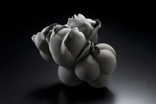 Le Don du Fel - Galerie du Don
