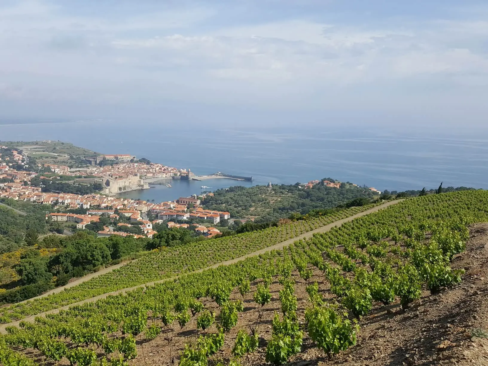 BALADE VINOHRANDO DANS LES VIGNES - OENOTOURISME !