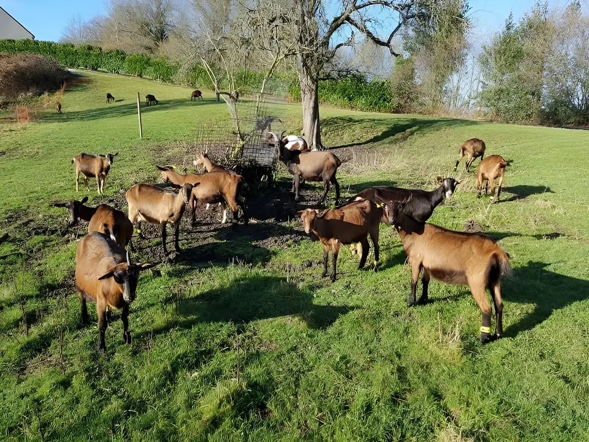 La Ferme de la Chevrière