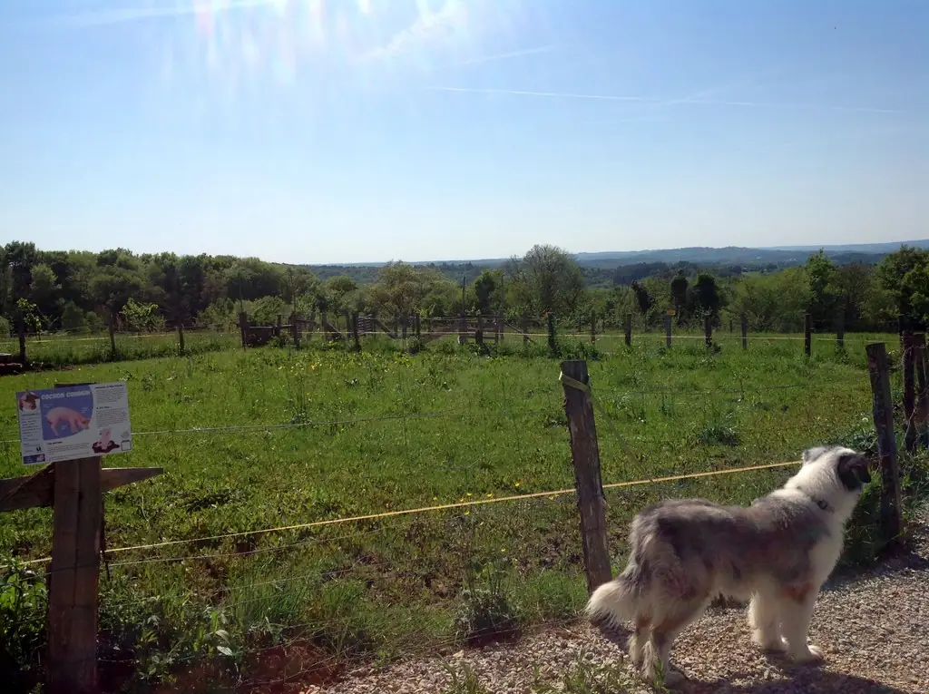 La Ferme de Brossard - Ferme Pédagogique et de Découverte