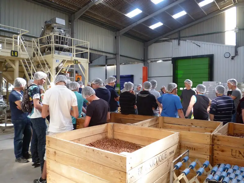 Visite de la coopérative Unicoque et des vergers de noisetiers