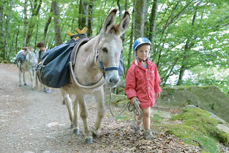 Ferme pédagogique Les Ânes de Vassivière