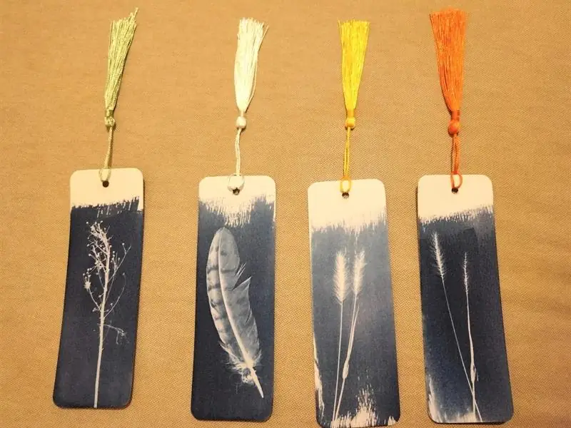 Atelier : cyanotype