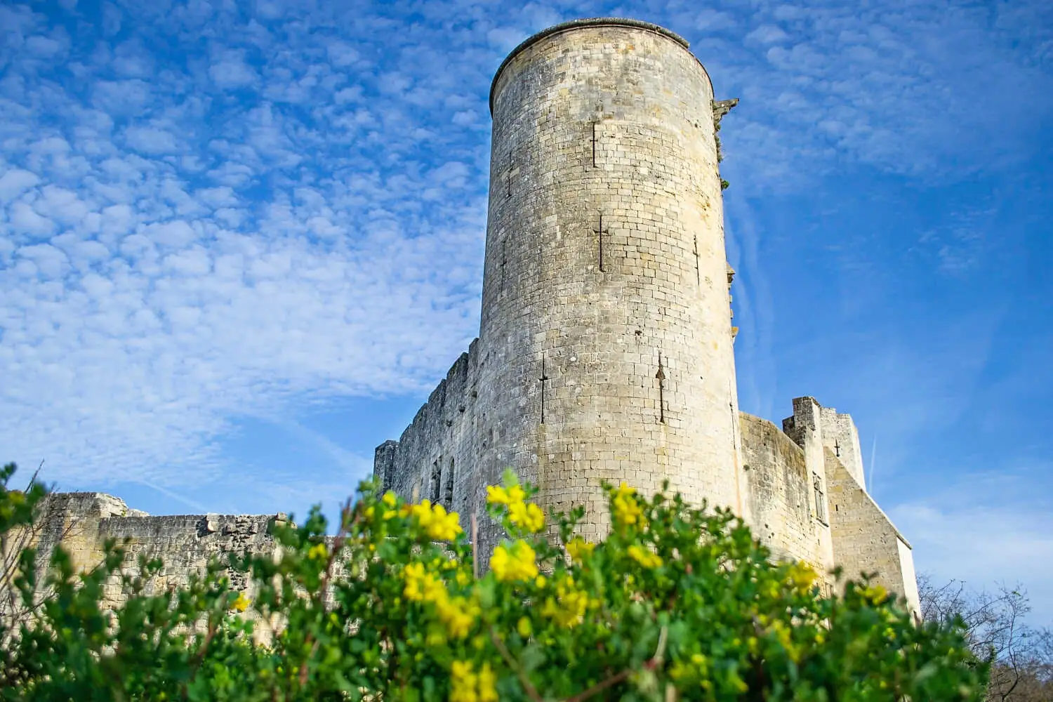 Château de Rauzan