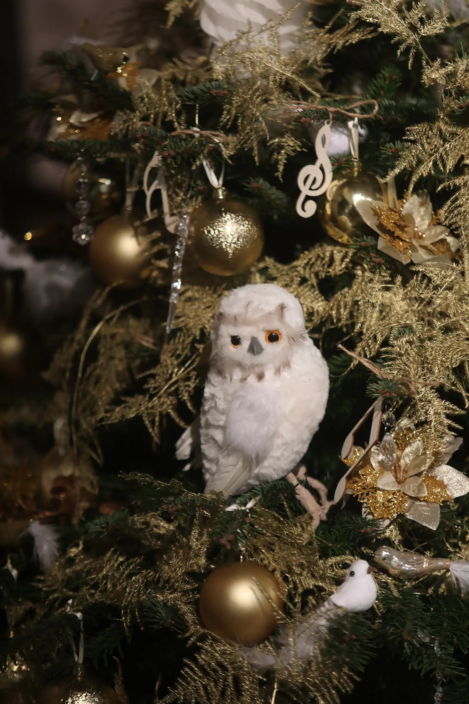 Noël au château de Langeais : un Noël enchanté et musical