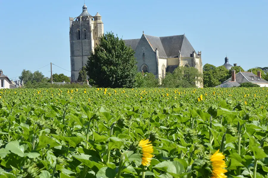 Collégiale Saint Maurice