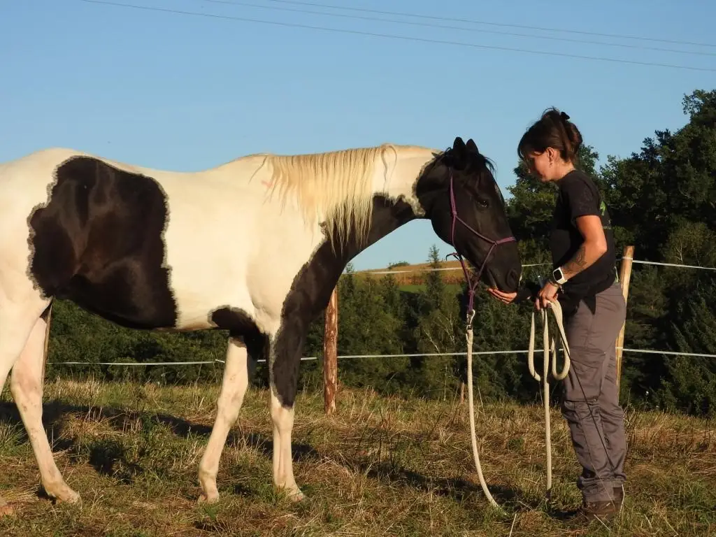 Visite active et pédagogique de la ferme Equi'libre