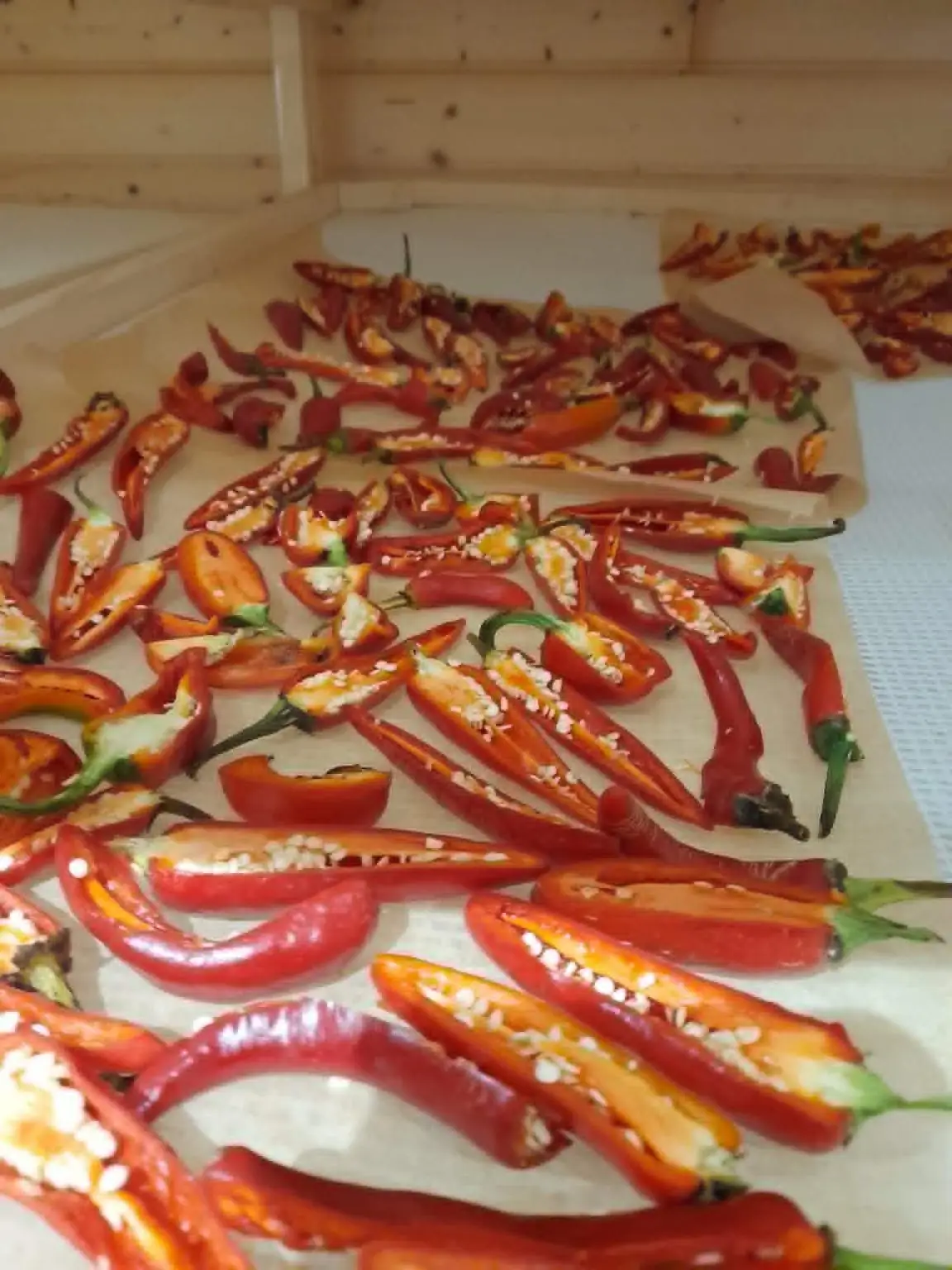 Atelier : Récolter et semer ses graines de légumes et fleurs