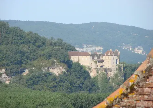 Château de Cénevières