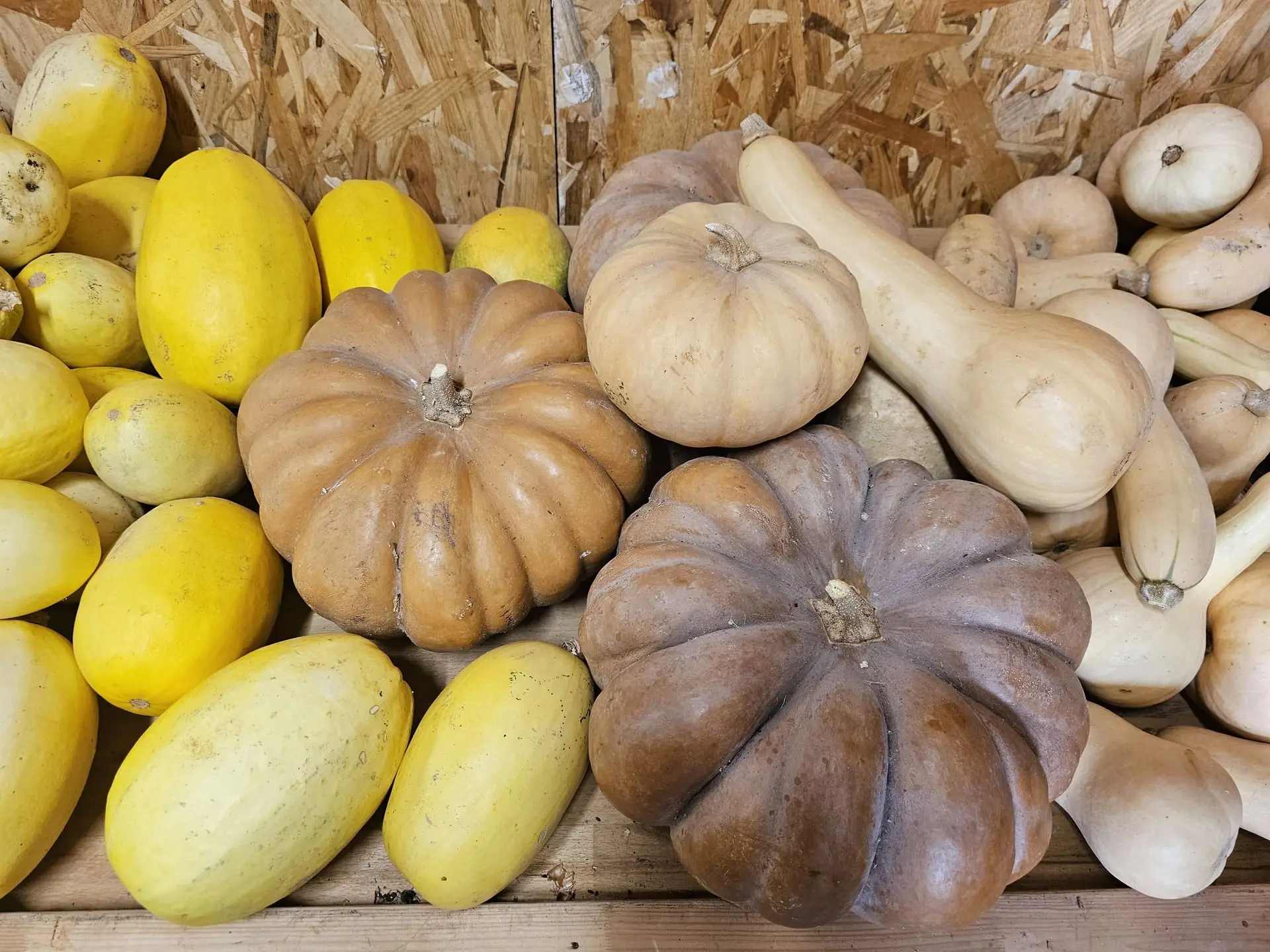 Atelier cuisine à la ferme Aïoli Caganis