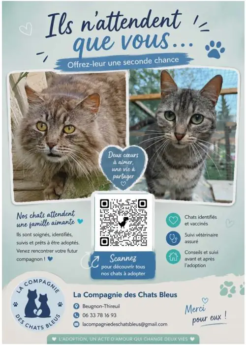 La compagnie des chats bleus : Portes ouvertes