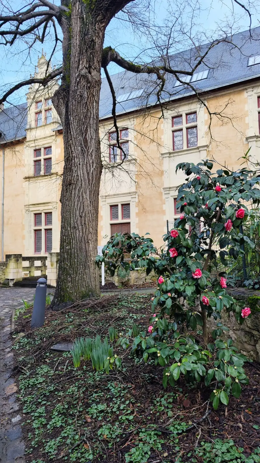 Hôtel Berthelot