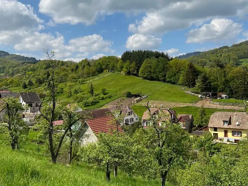Maisonsgoutte