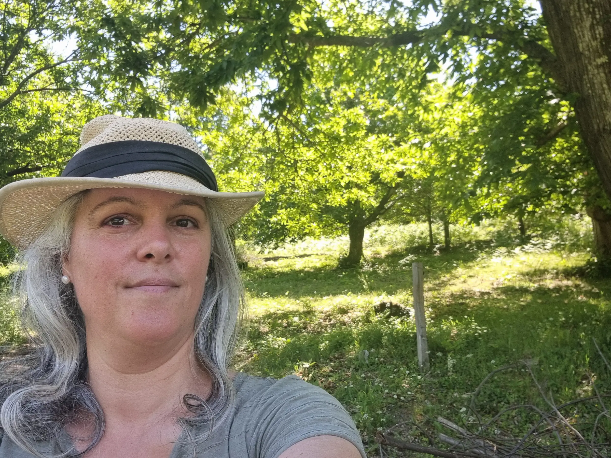 VISITE PATRIMOINE: LE CHÂTEAU DE MOLEZON ET SA CHÂTAIGNERAIE