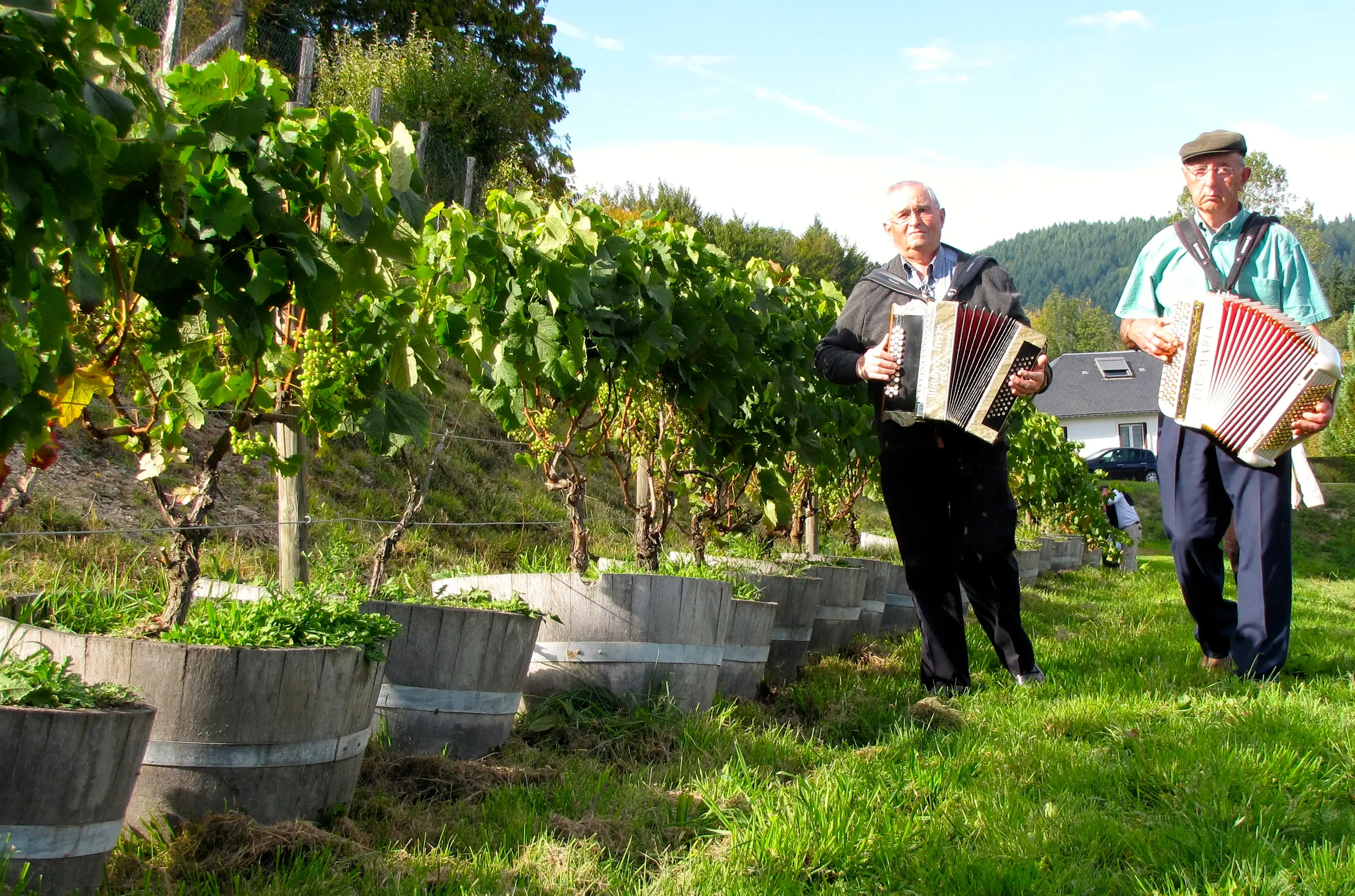 F. Vignoble des moines Larose