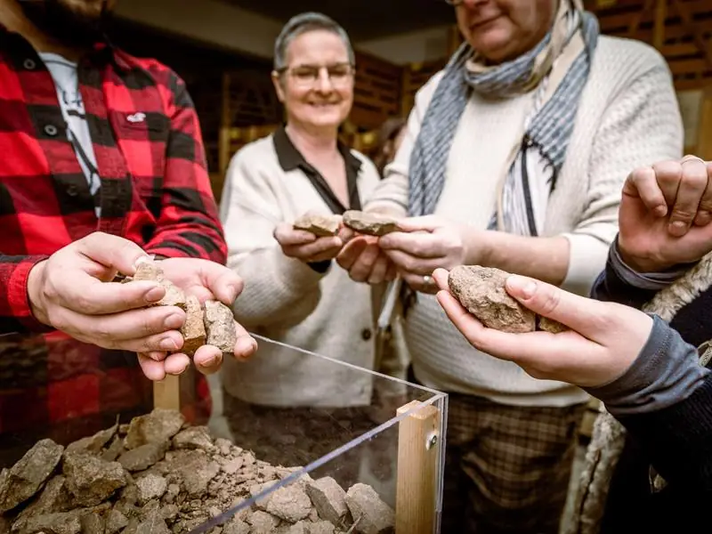 Parenthèse Vigneronne : jouez et testez vos 5 sens