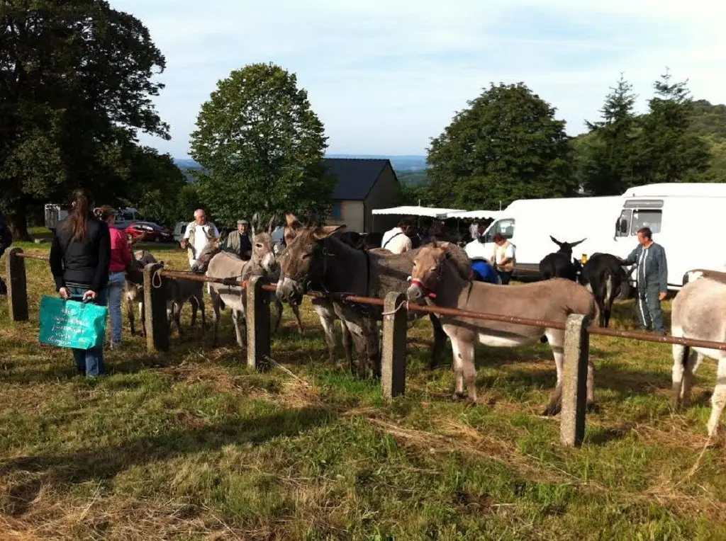 Foire de Roches