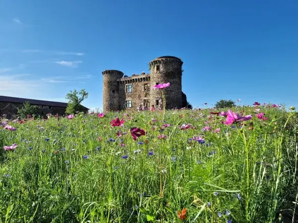 Château de Pagax